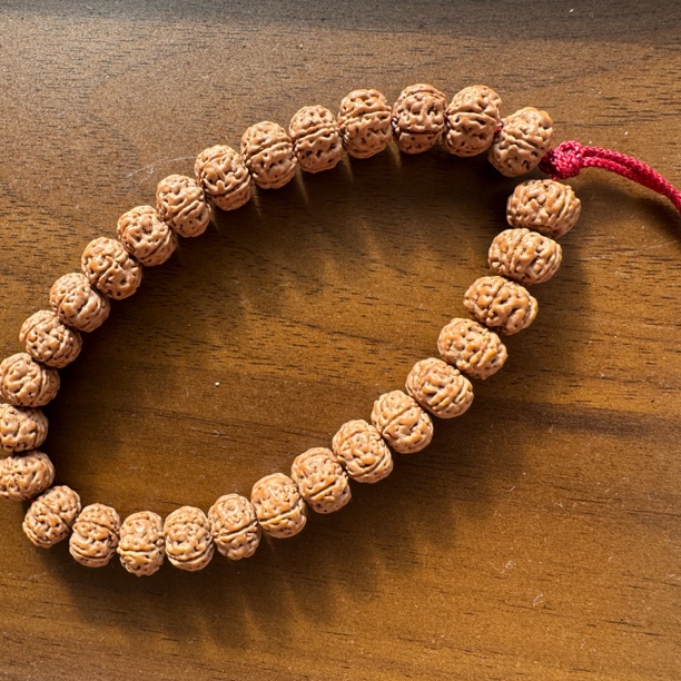 勿里达老树王小金刚