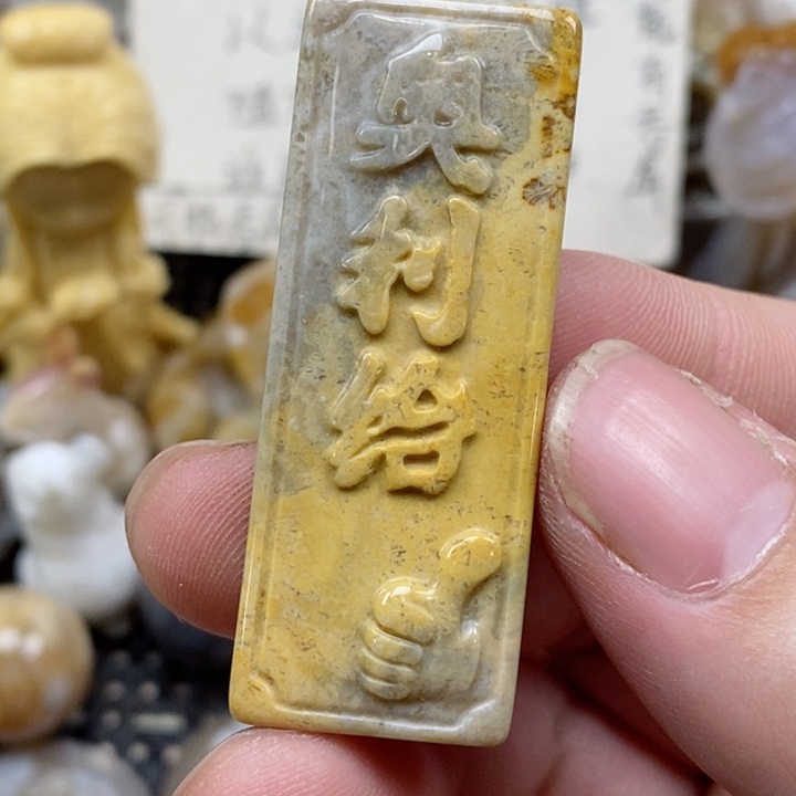 颈饰未镶嵌硅化珊瑚（珊瑚玉）