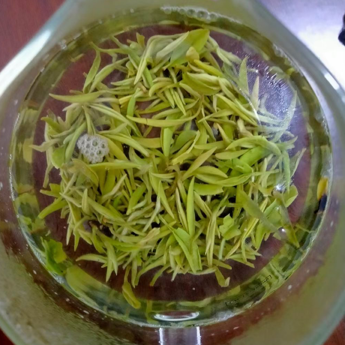 2025年汤湖狗牯脑贡品特级高山头釆春茶125克，250克，500克