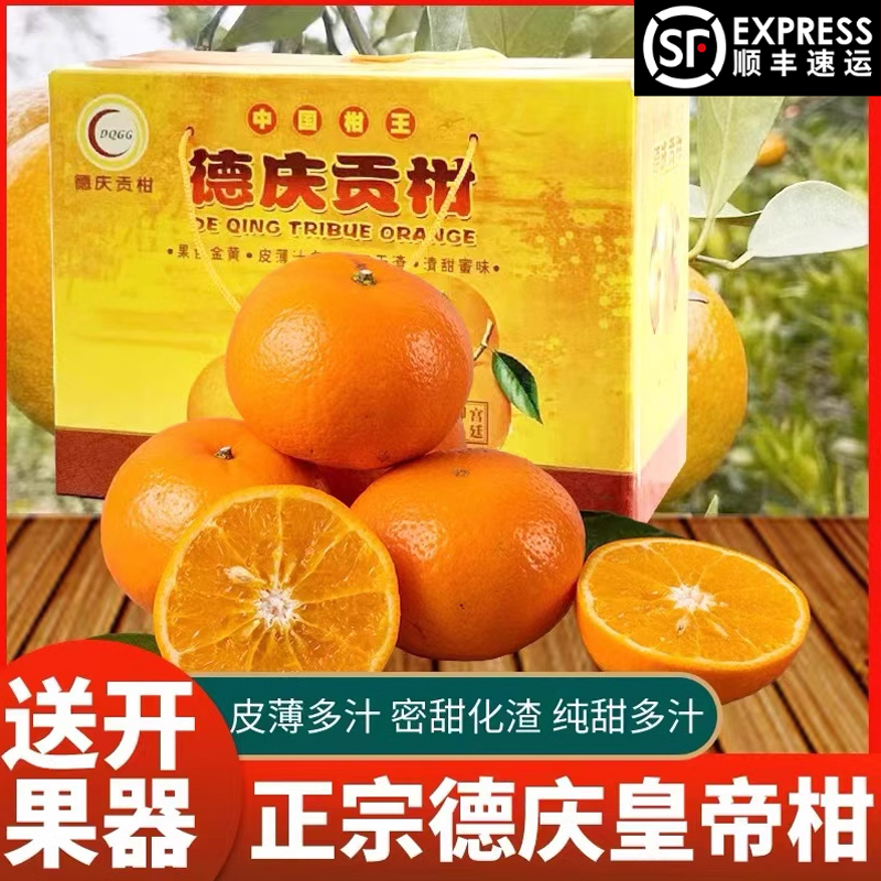 正宗德庆皇帝柑当季水果现摘贡柑非蜜桔沃柑甜桔子大果5/10斤包邮