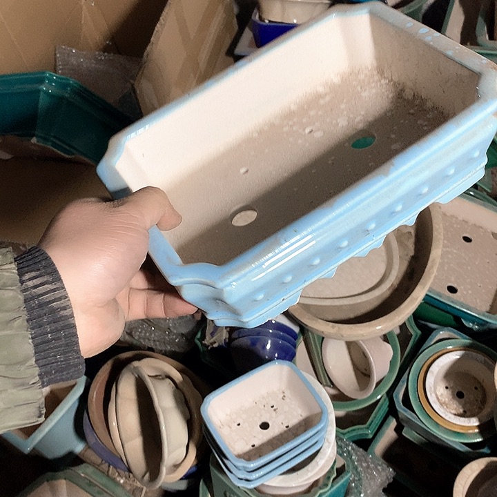 紫砂没有那么重要的人在我们