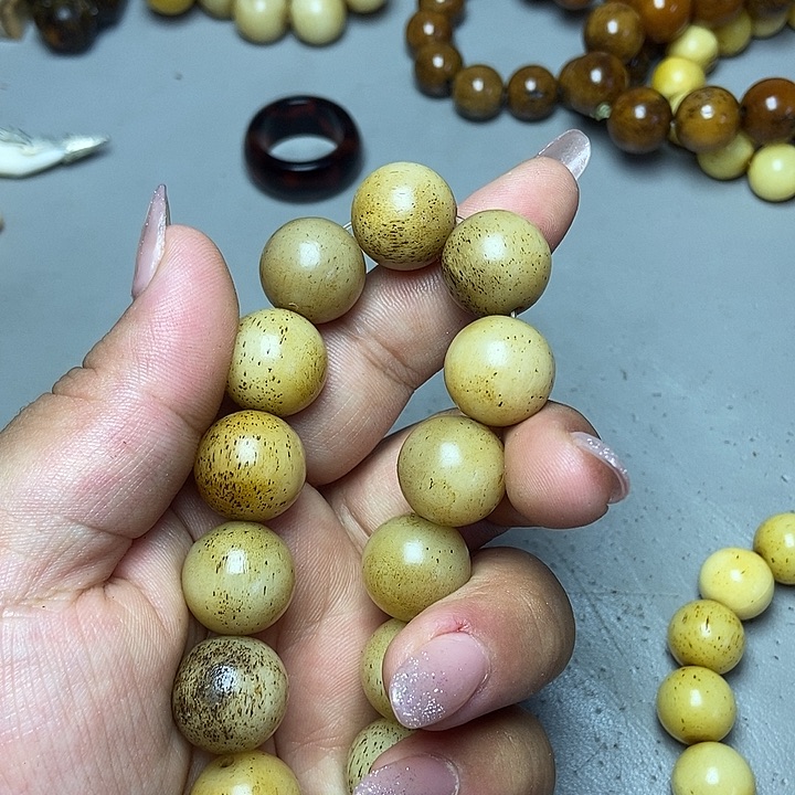 大果紫檀（缅甸花梨）