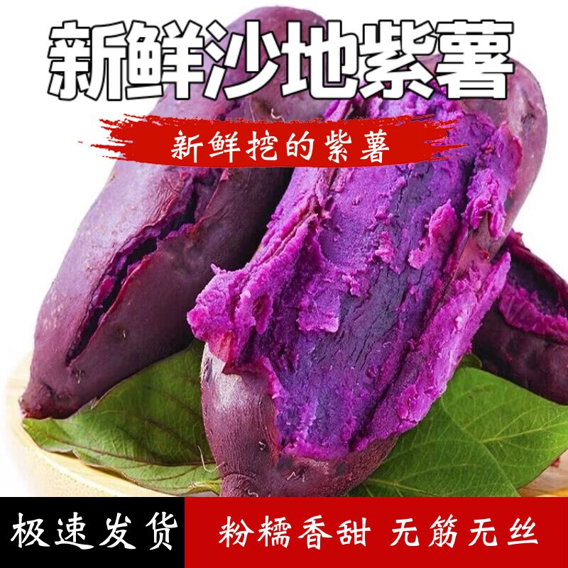 【坏单包赔】 沙地紫罗兰紫薯新鲜现挖产地直发