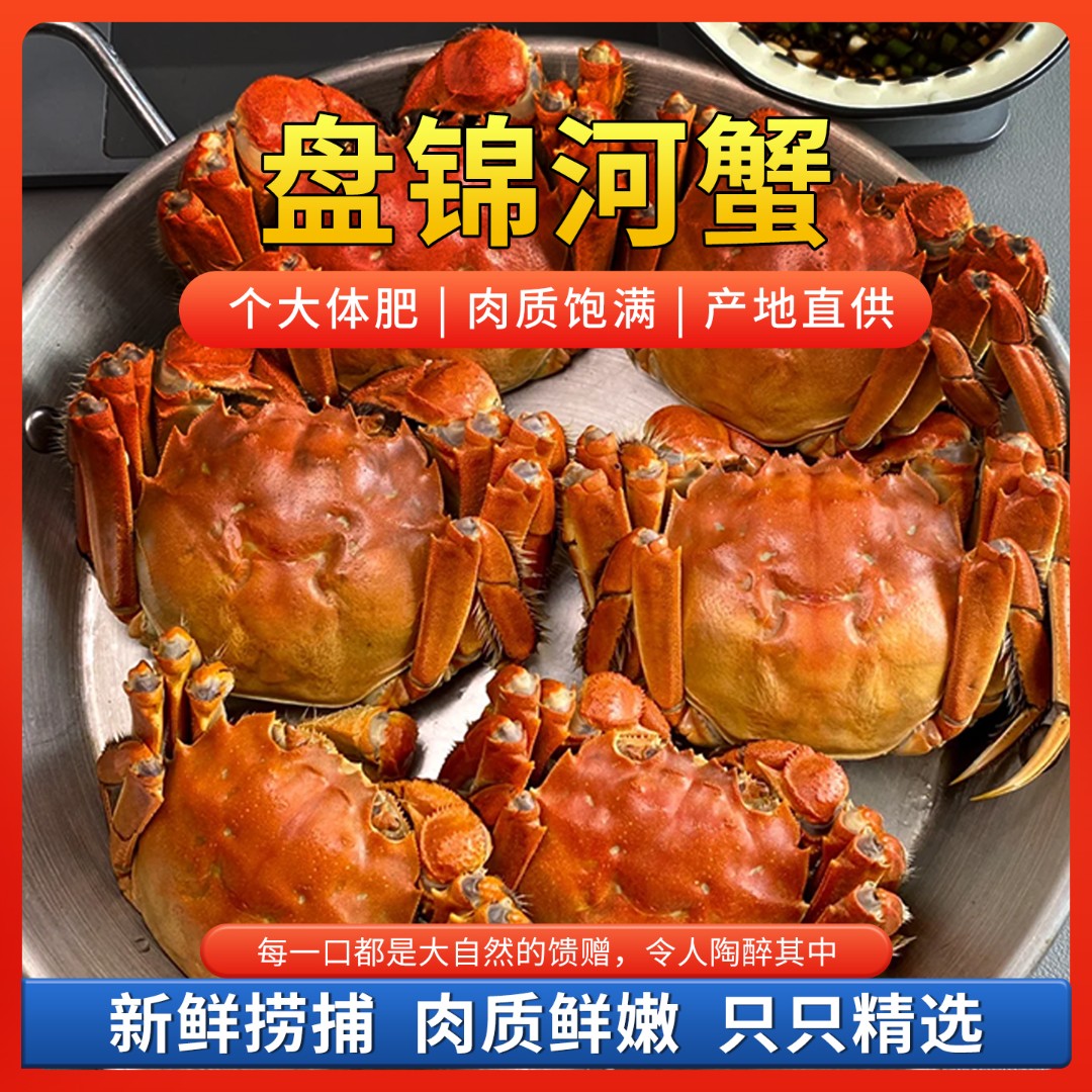 【活蟹】盘锦河蟹【公母混】母1.7-2两（5只）+公二 两半（5只）鲜活发货 