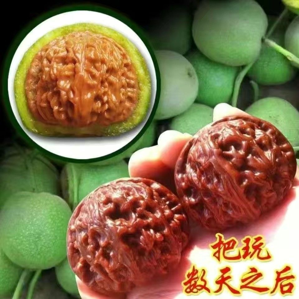  文玩核桃直播甄选狮子头市场代开 zhu13730445043