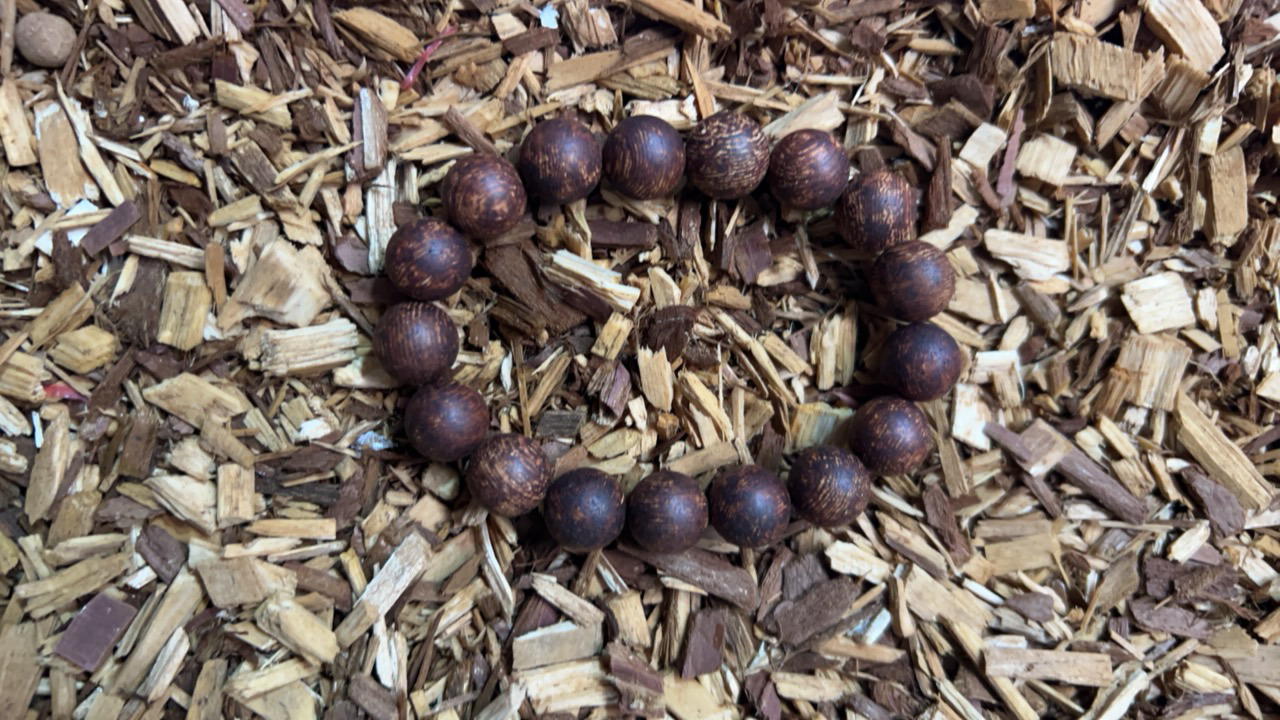 沉香x251 福莱精选高端文玩12mm