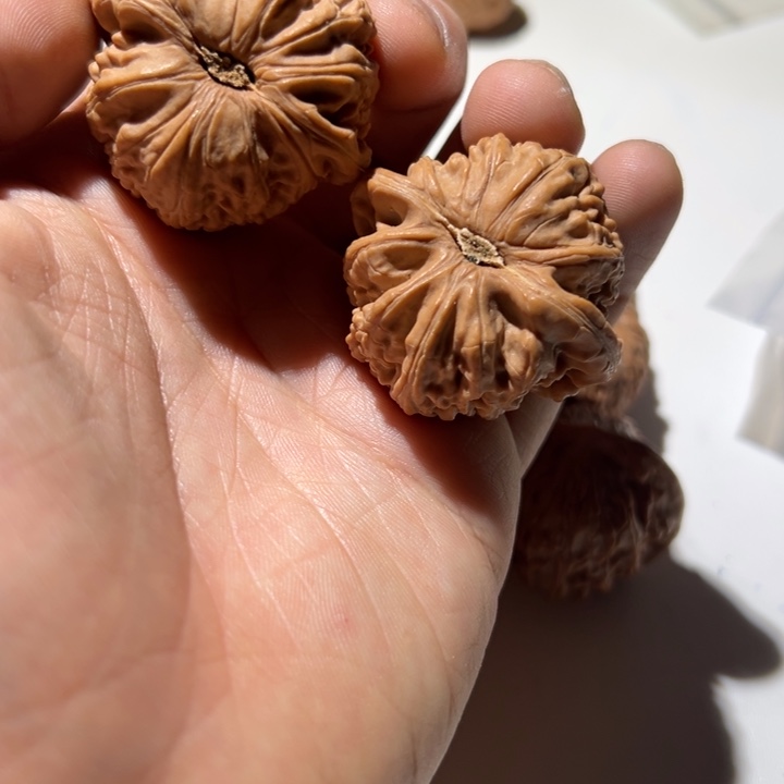 下***天文玩核桃把件闷白