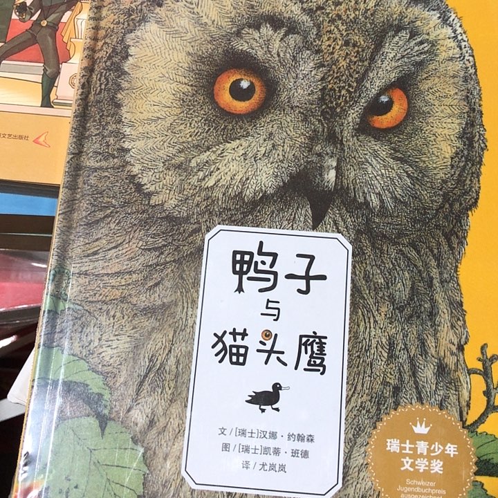 鸭子与猫头鹰精装