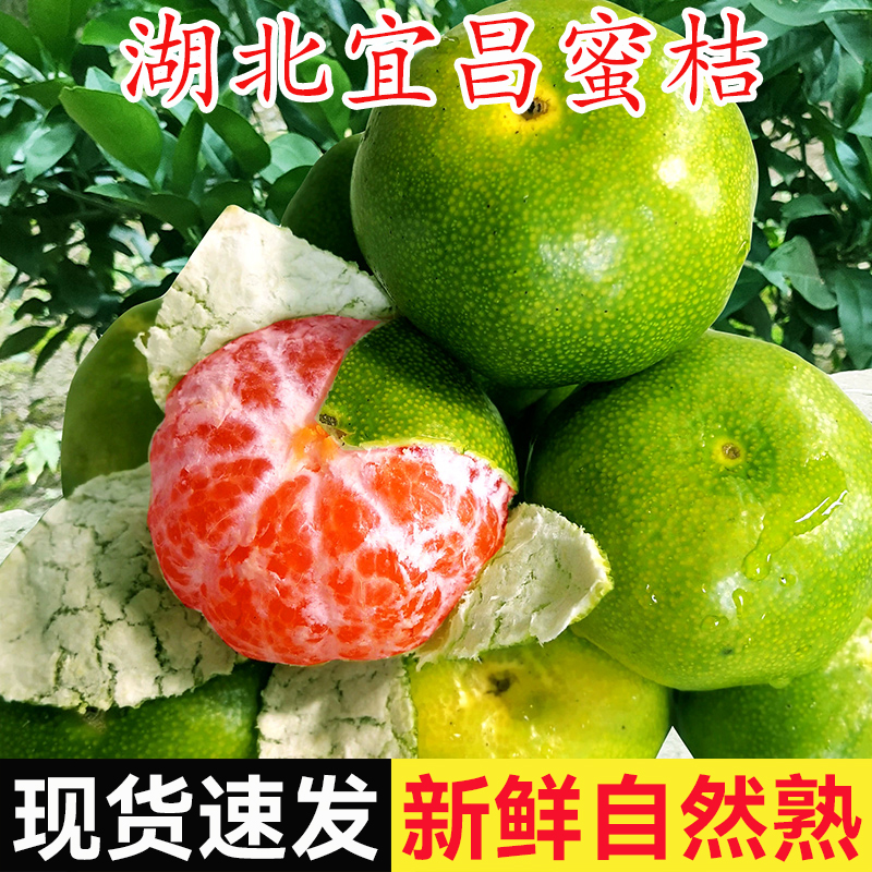 特早宜昌蜜桔新鲜薄皮橘子应季青皮酸甜爽口无籽桔子孕妇水果5斤