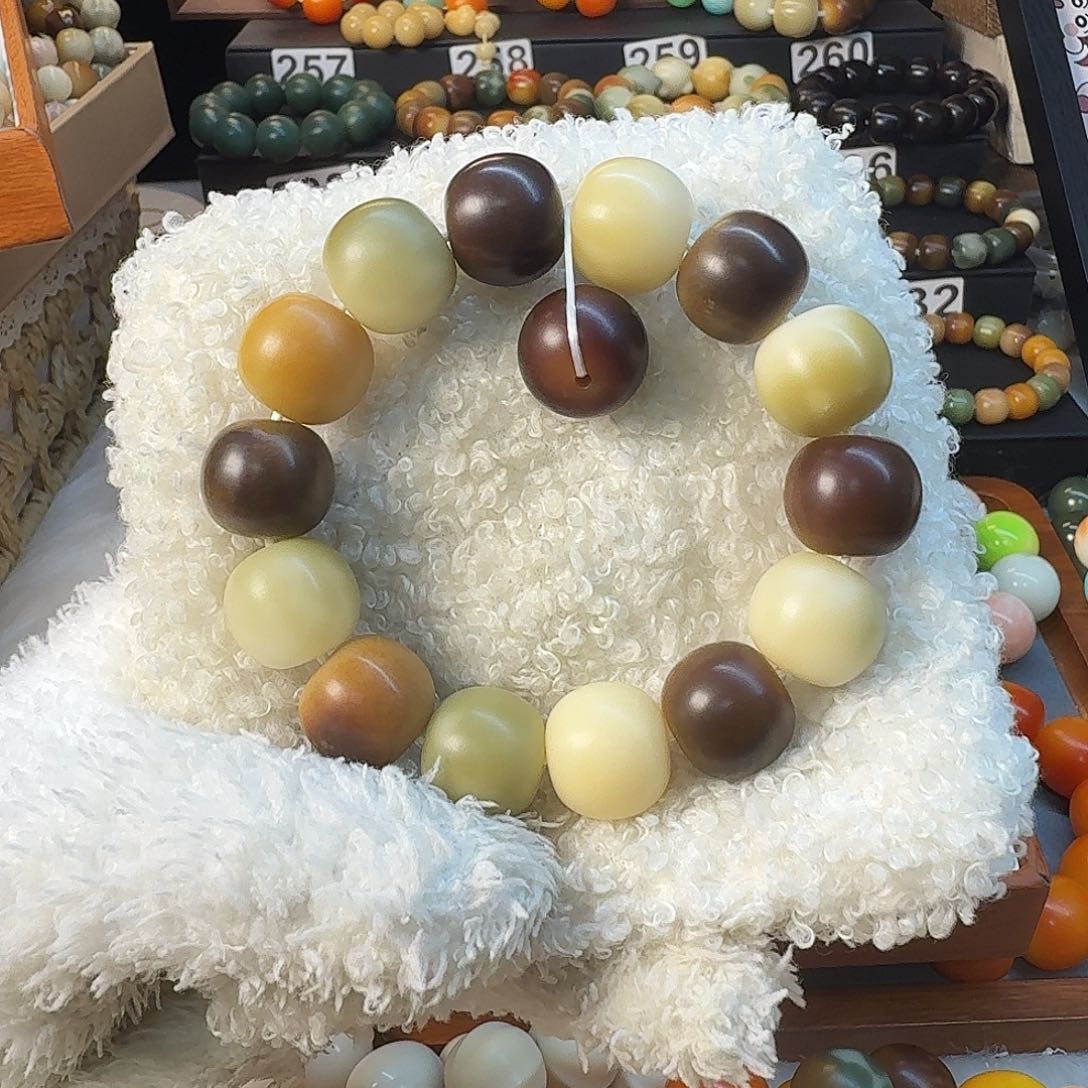 菩提根/象牙果手串18尺寸新品干磨11