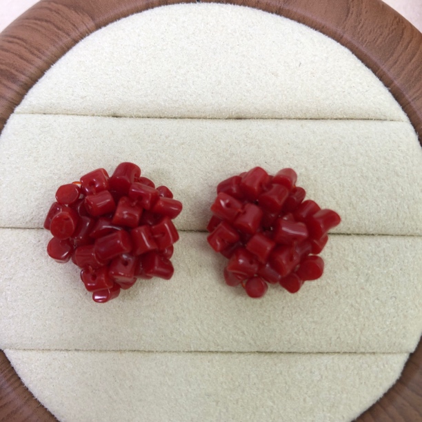 天然珊瑚牛血精品耳钉