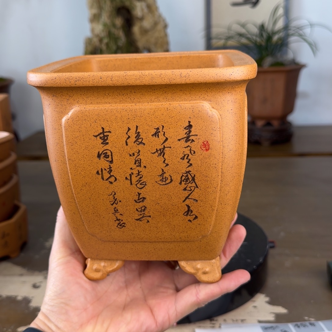 井***说花盆紫砂紫砂花盆