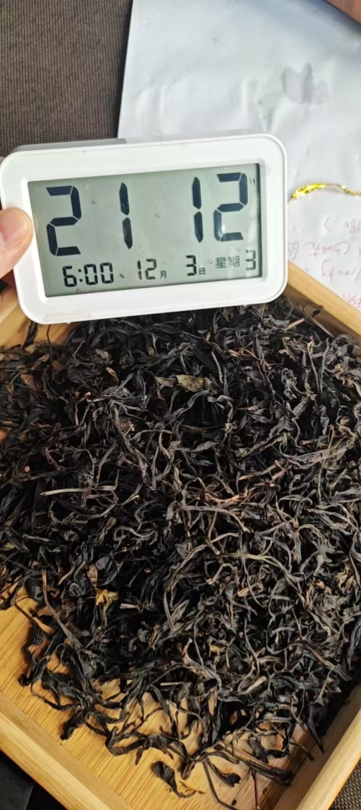 2025年《白莺山黑条子》100g单株春茶普洱生茶【251203-05-027】