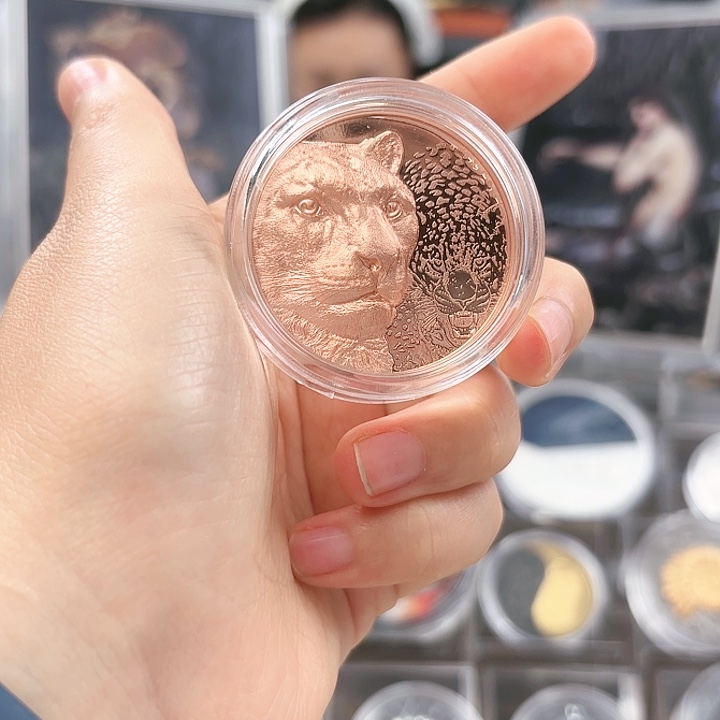 纯银铜币蒙gu，2024年雪豹纪念币