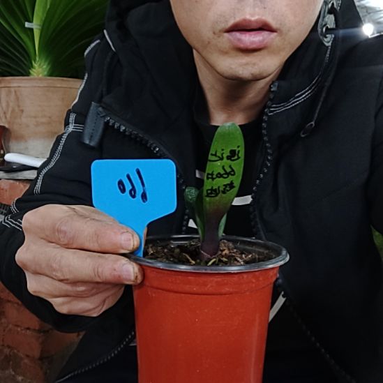 【闪购商品】完全开放