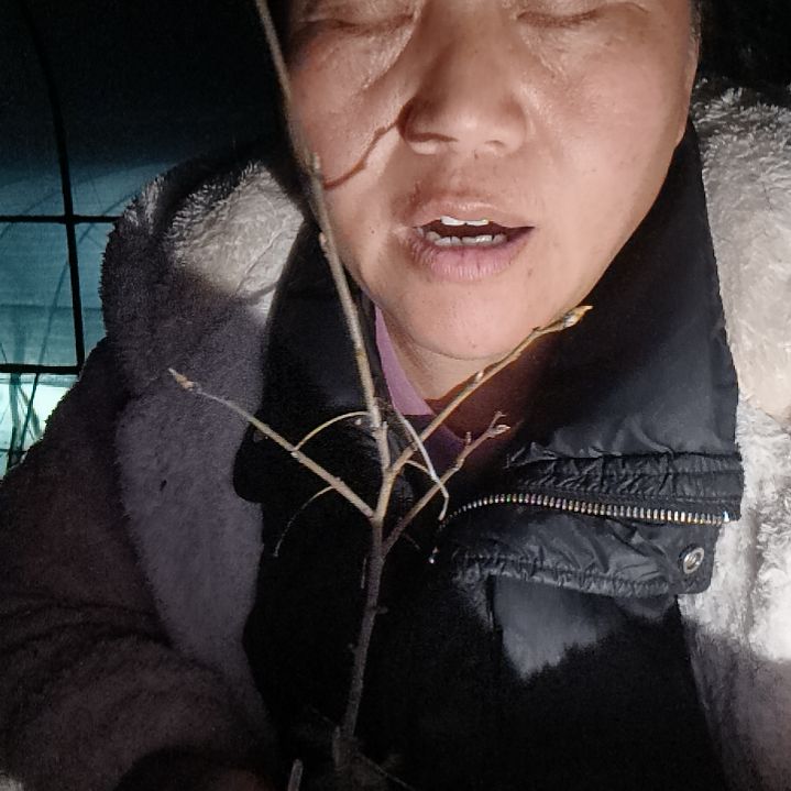 じ***无花朵15675585589