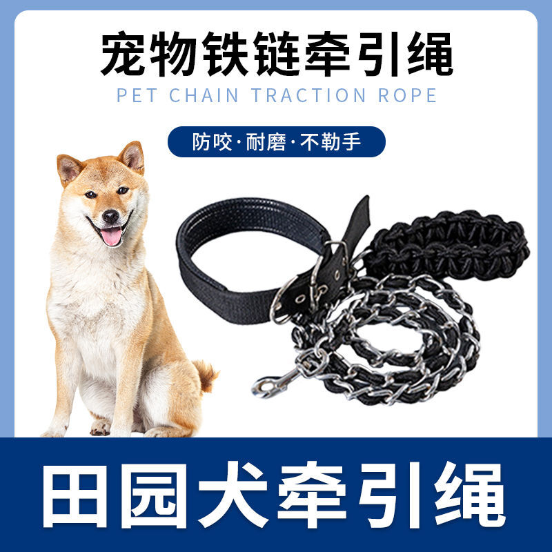 中华田园犬专用大型犬中小型犬铁链项圈牵引绳防咬拴狗链子遛狗绳