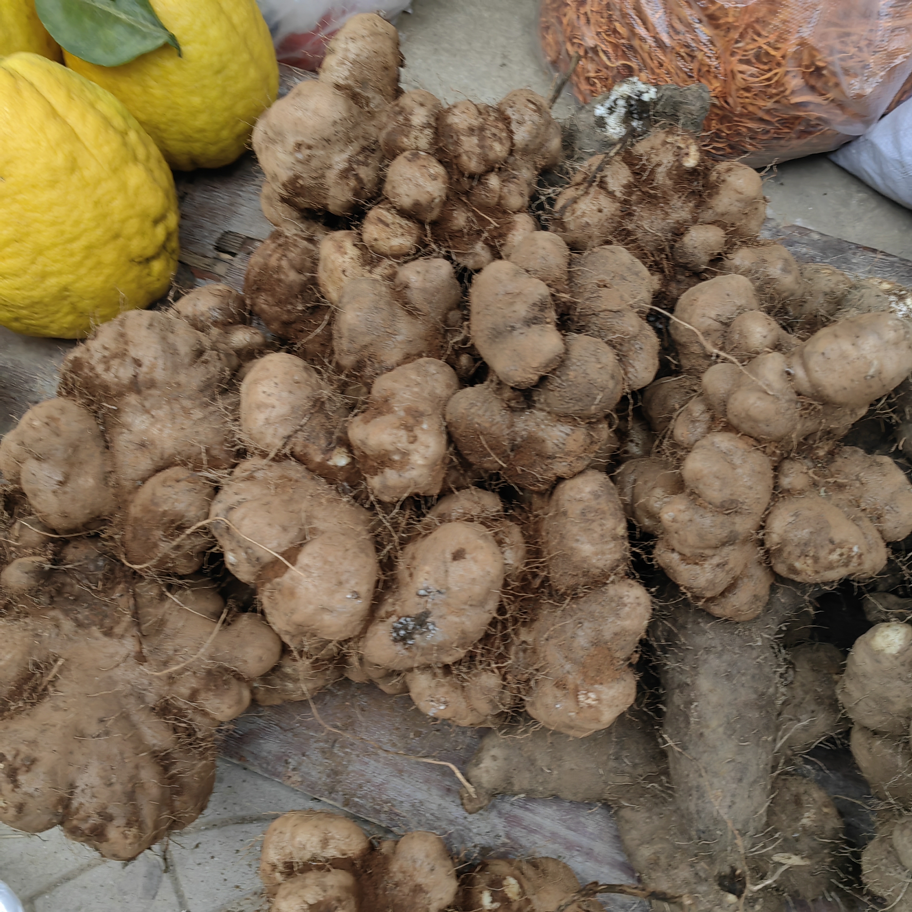 灵灵带你逛云南大集【灵芝山药】