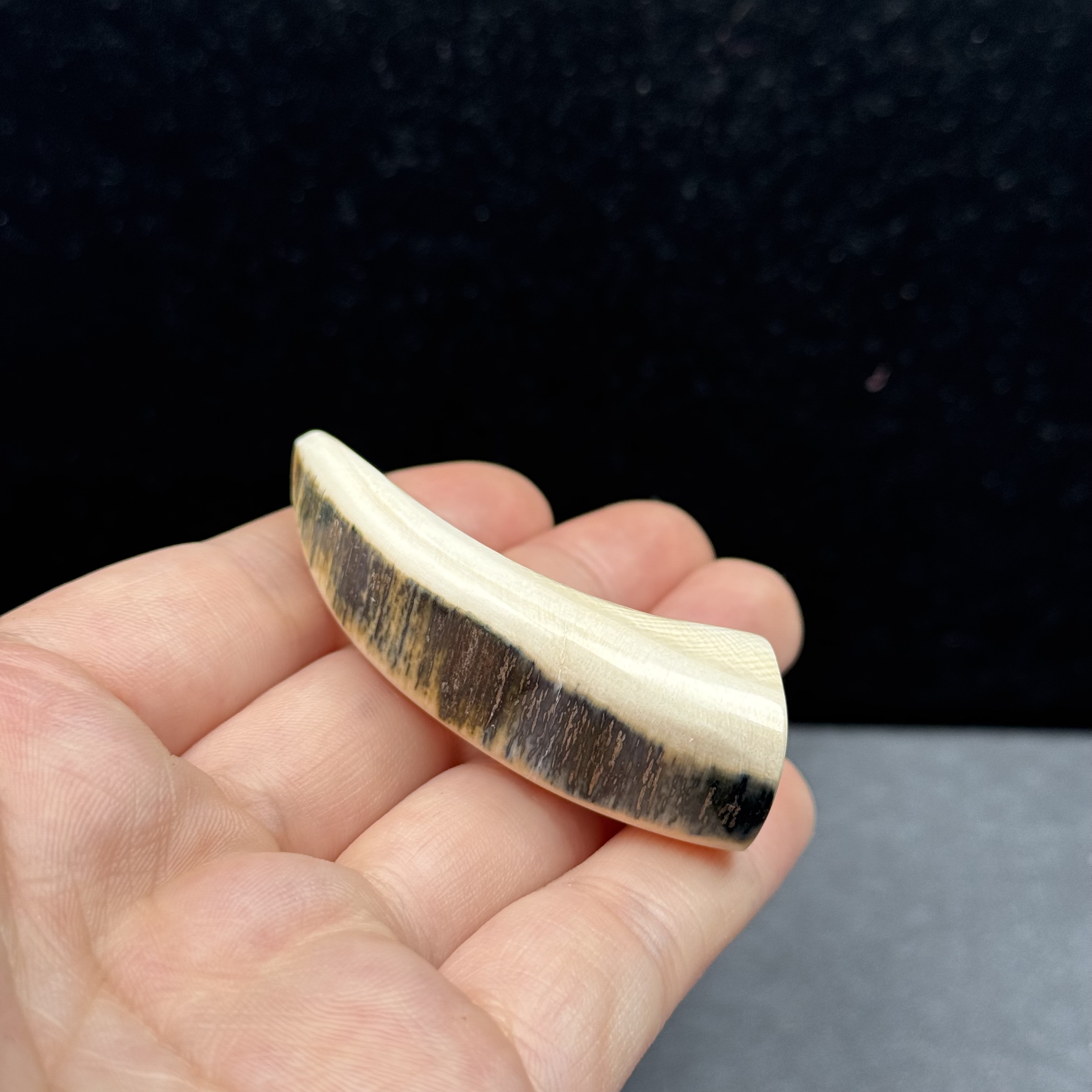 B1518天然猛犸牙 牙尖59.7mm 支持鉴定 假一罚四