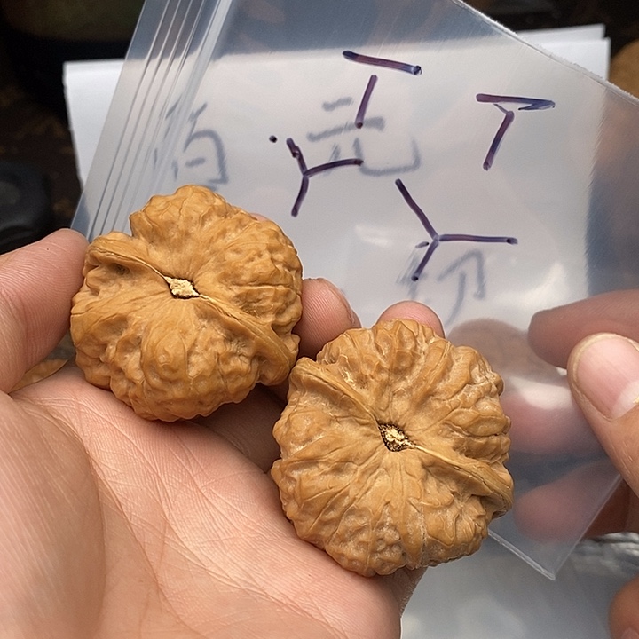 吊坠文玩核桃W7526833663638