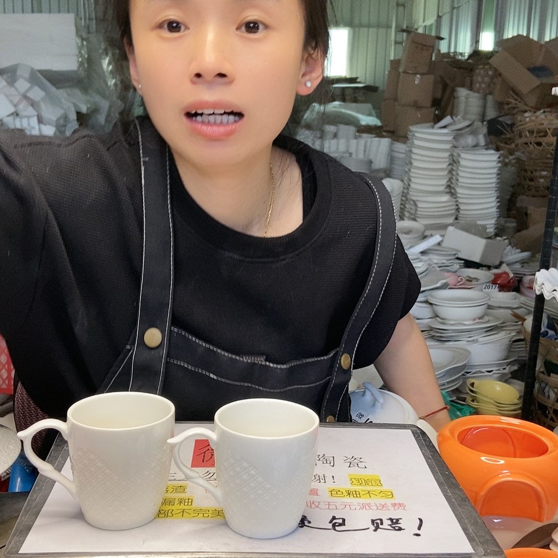 【闪购商品】碟工厂库存微瑕产品803六个