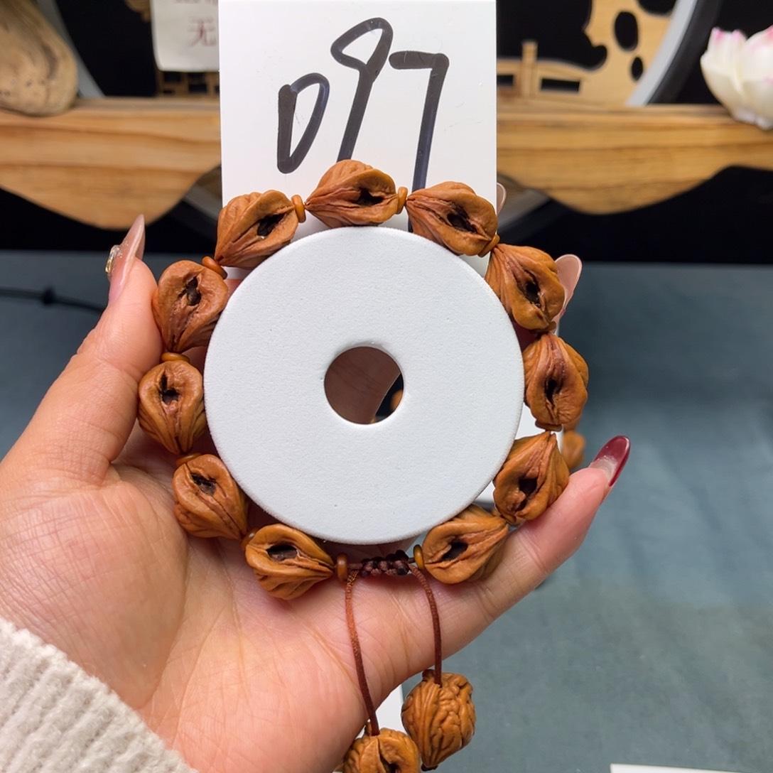 桃核手串16生命之源