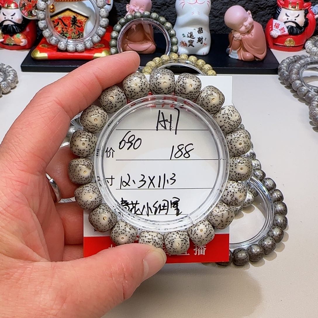 海南荷塘星月菩提A17