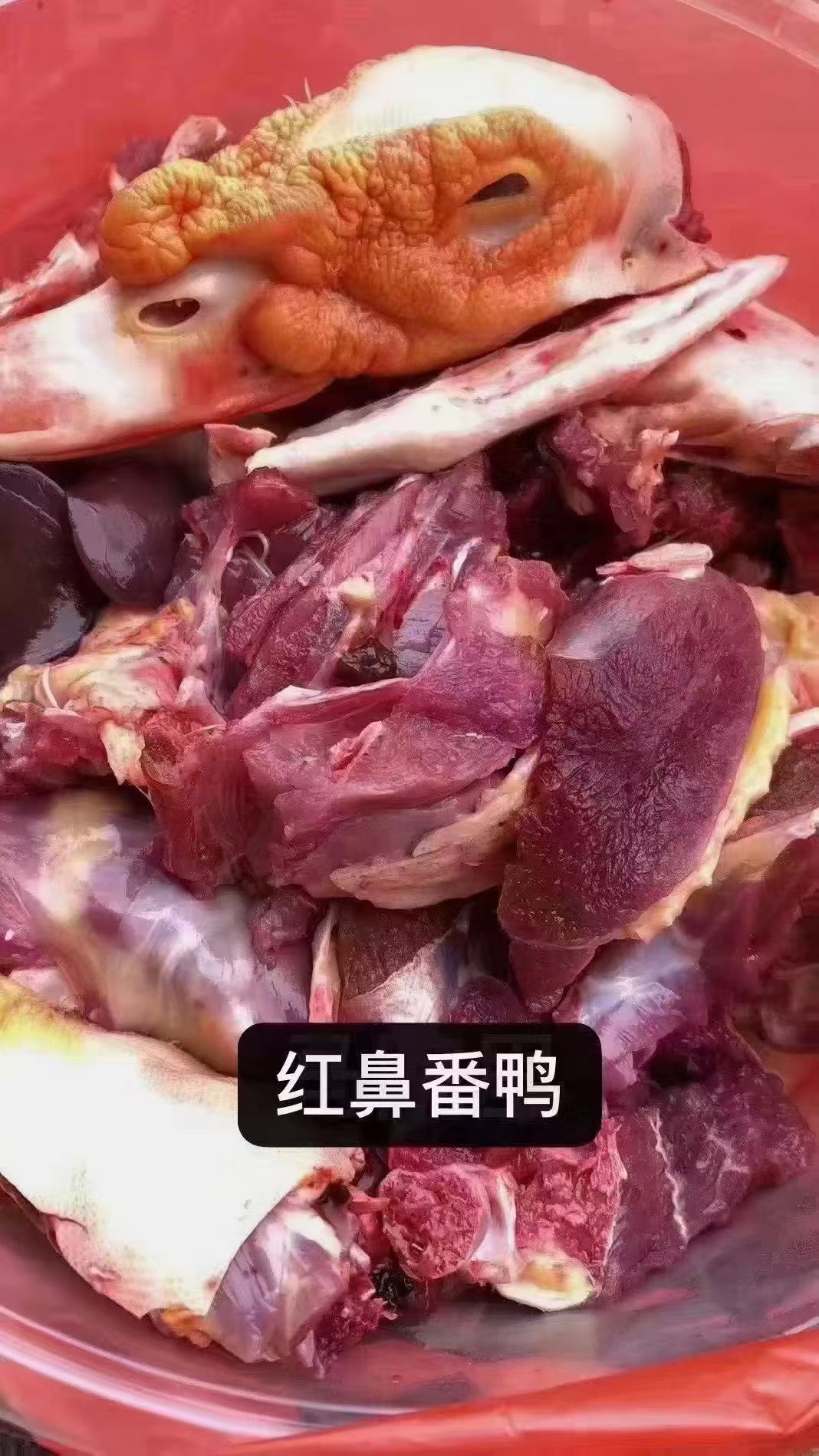 静妹推荐，农家红鼻湾鸭子