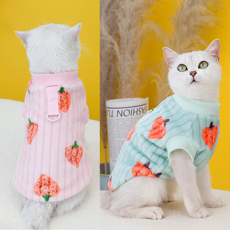 宠物服装猫咪衣服猫咪棉背心小蓝猫服装秋冬新款草莓绒衣