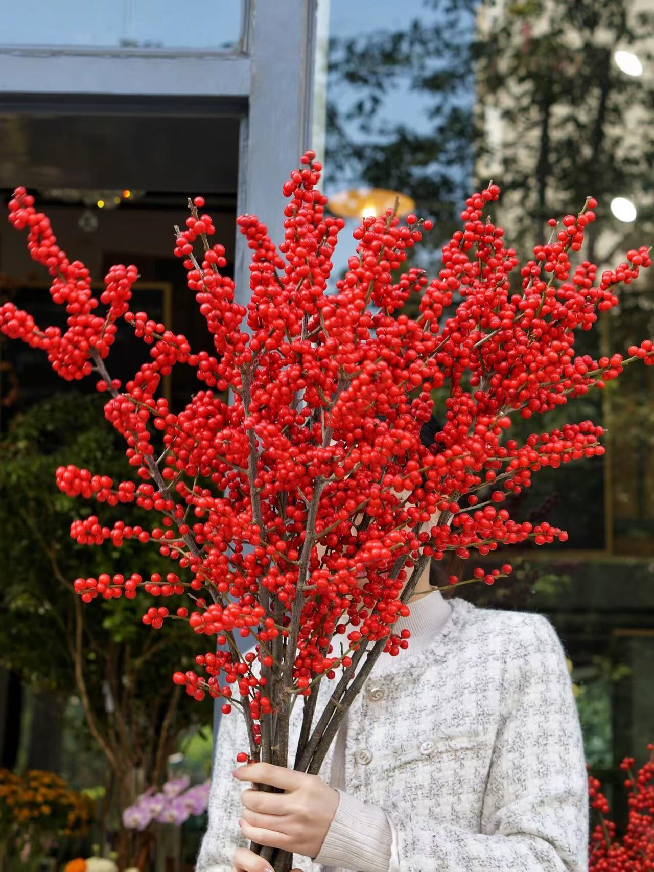 【AAA级1米北美冬青东红切枝】云南基地现剪现发 高奢鲜切花 年宵花