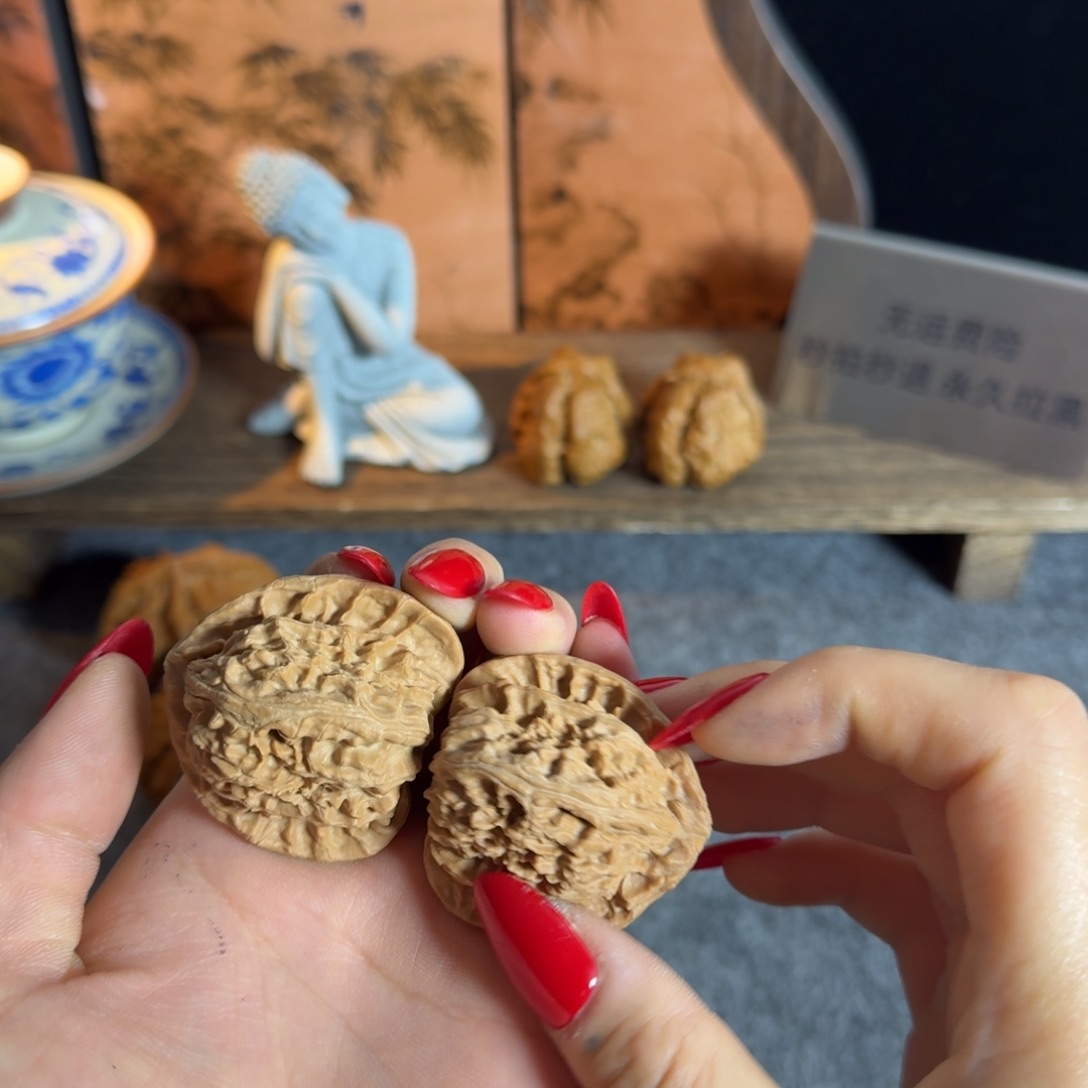 4142白狮子老树白茬