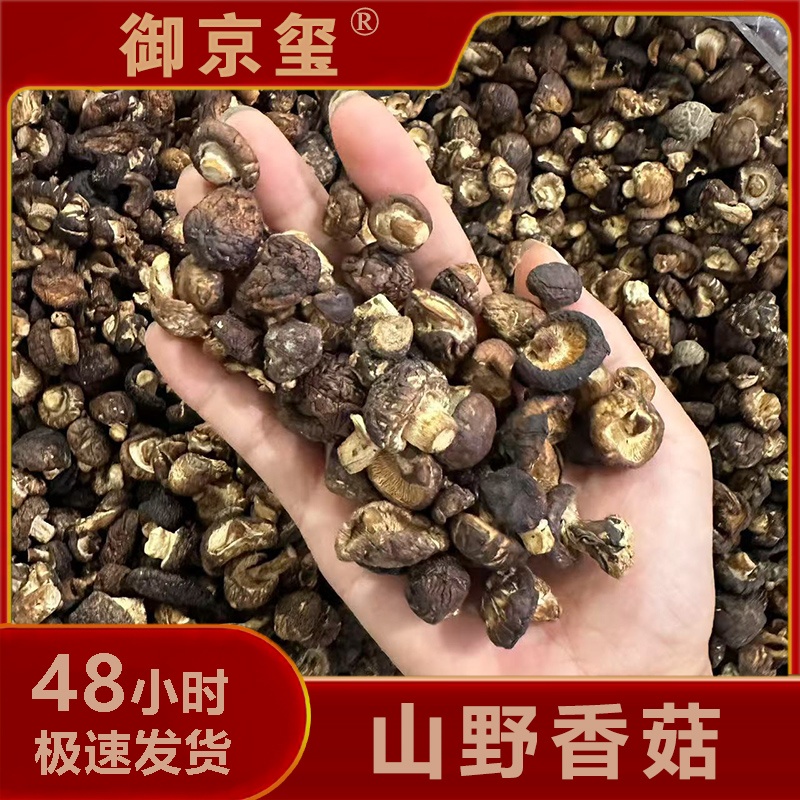 【云南生态溯源】深山老林野香菇