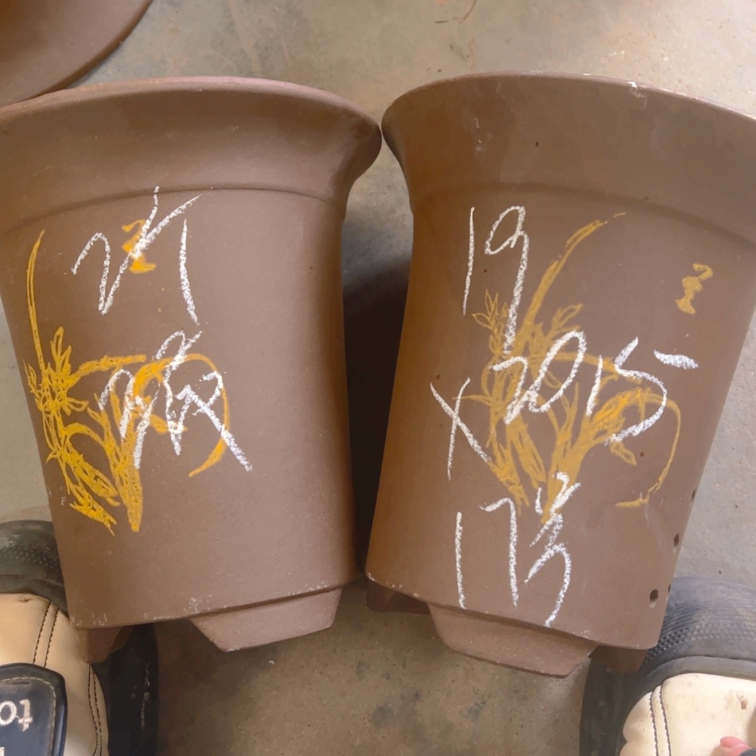 17号…………………………………………