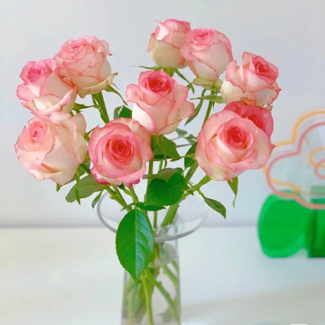 【艾莎公主】云南基地鲜花新鲜高品质1单普通快递 2单顺丰/京东