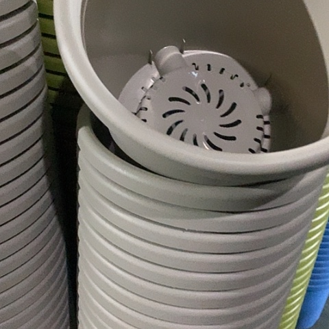 树脂四季5号灰白无托10个