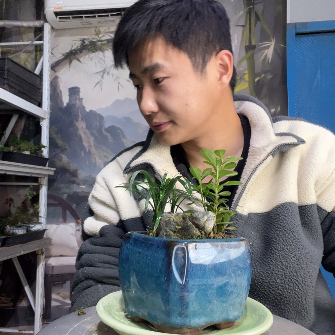 阿***呀中青园艺一物一拍67