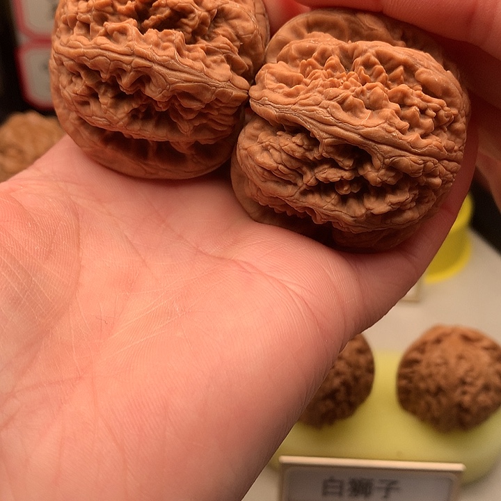 文玩核桃吊坠47尺全品粗筋787号