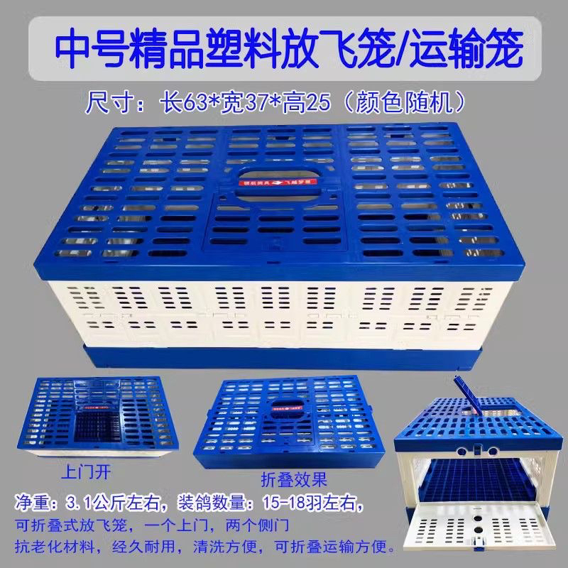 精品赛鸽草窝成绩鸽血统鸽草窝