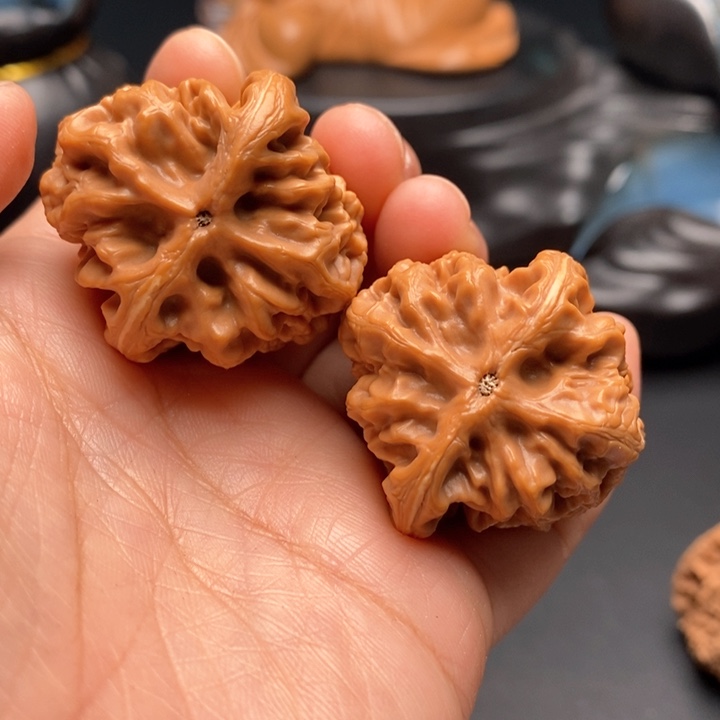 文玩核桃把件红锦鲤35尺