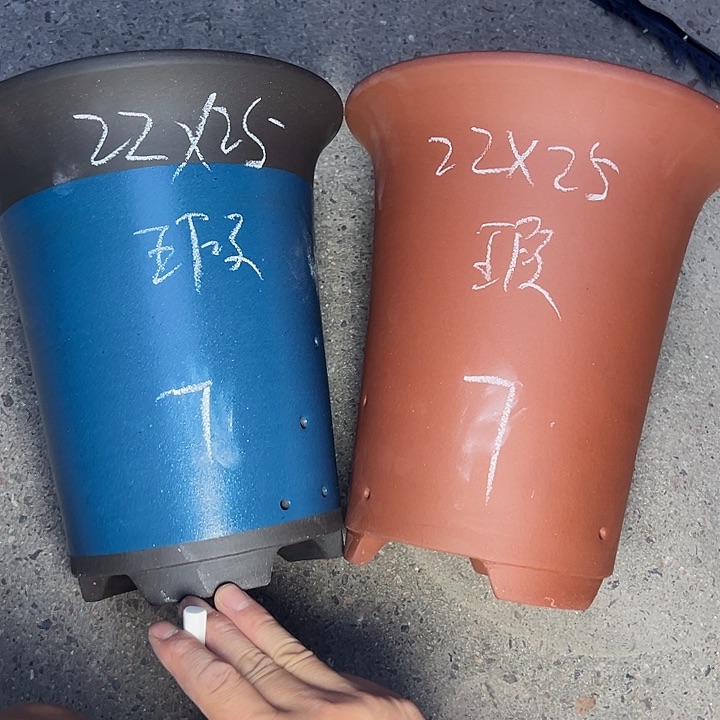 周深周深周深周深 