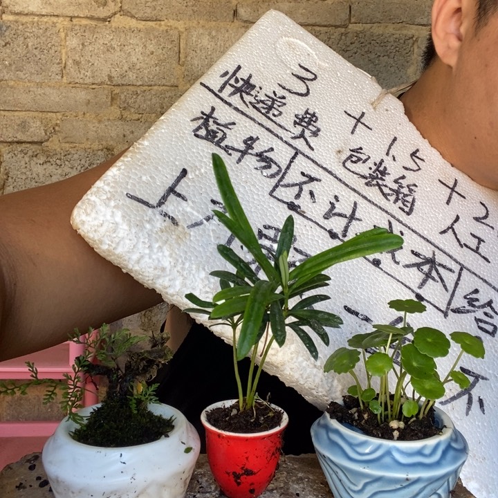 退款拉黑一物一拍11
