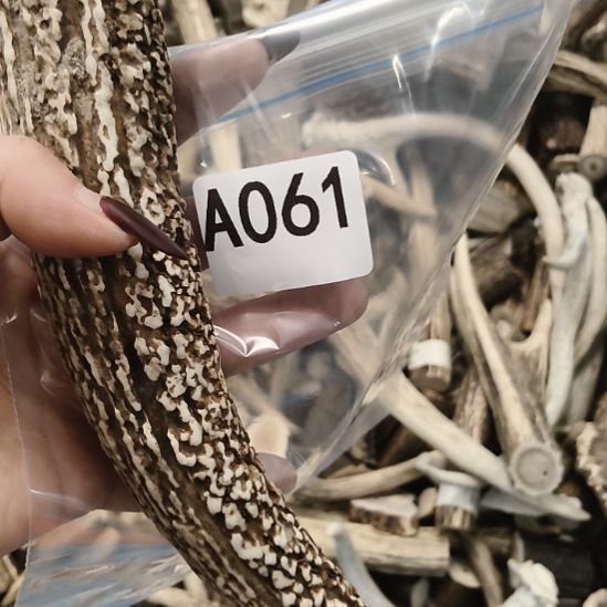 银***河鹿角鹿角鹿角鹿角鹿角