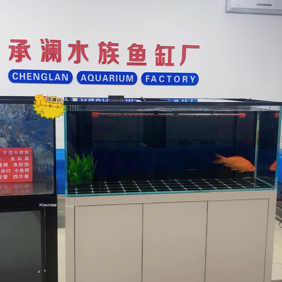 玻璃W****H1.2.50.50背新款鱼马桶