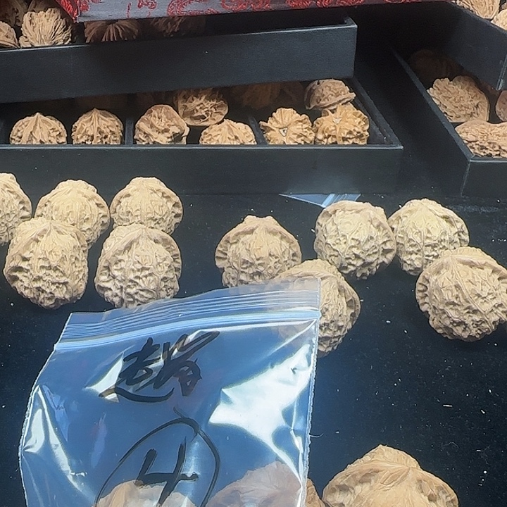 趙***ɡ吊坠龙脊菩提啊啊啊啊啊啊南瓜