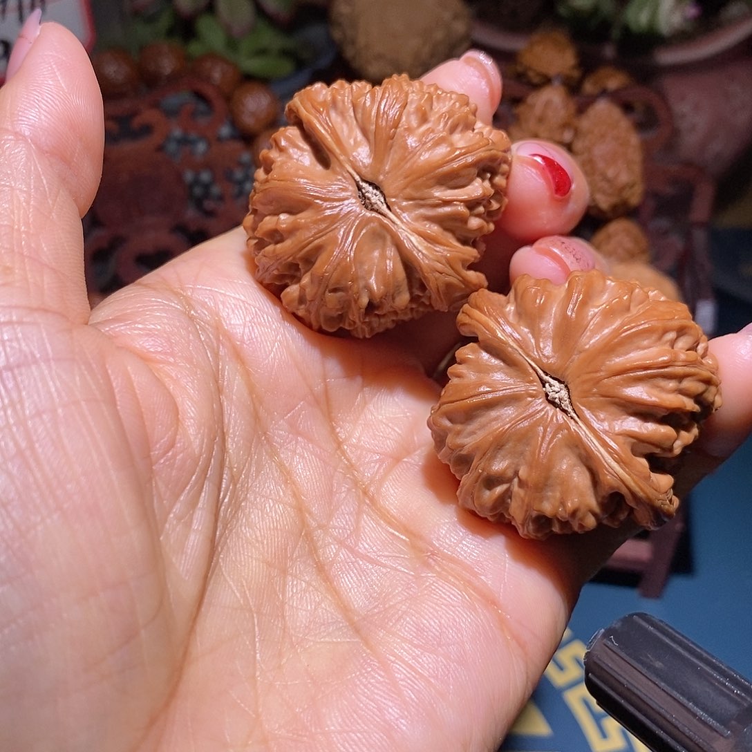 文玩核桃把件白狮子39