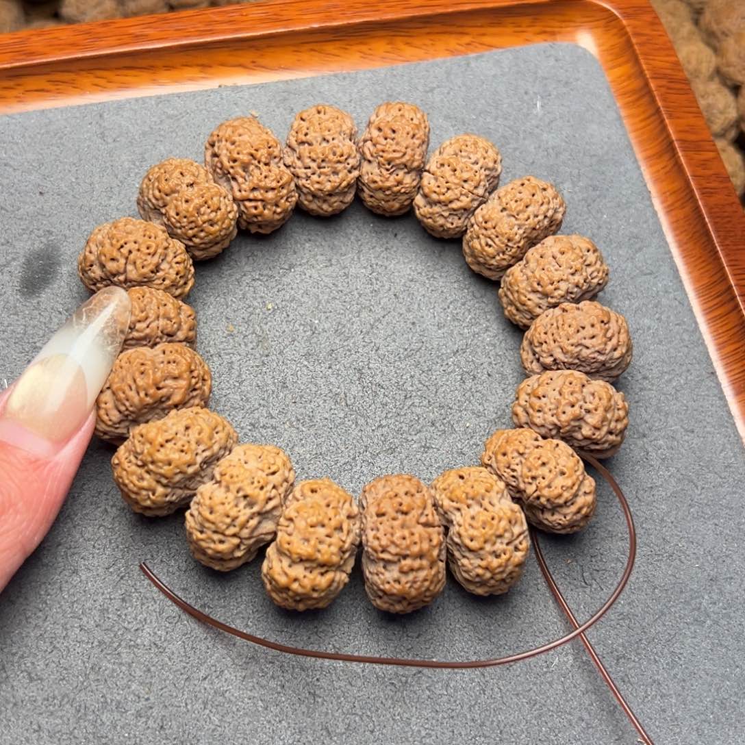 菩提21号尼泊尔大金刚22-23夹板菠萝蜜