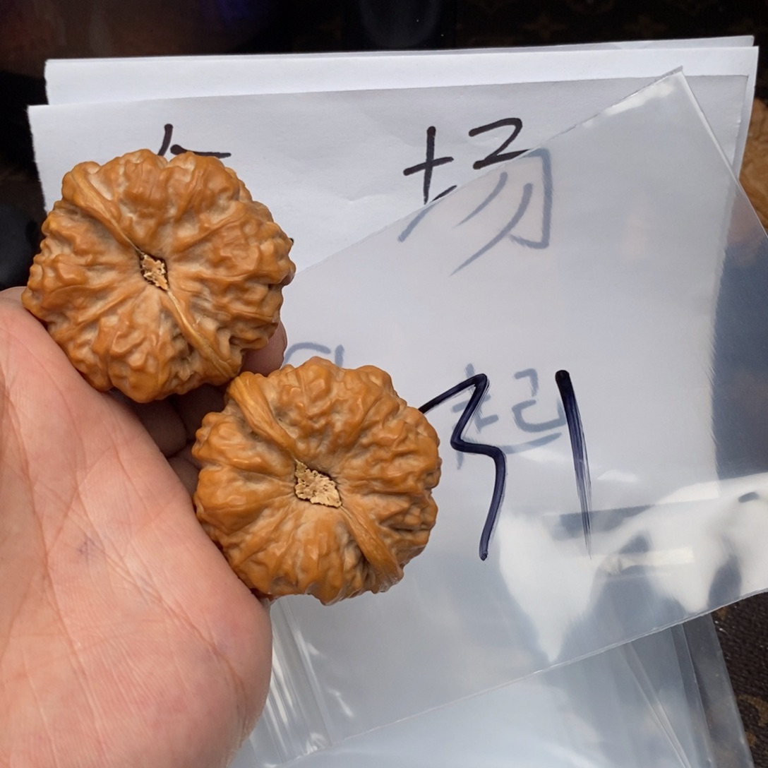 W385683964946649964964