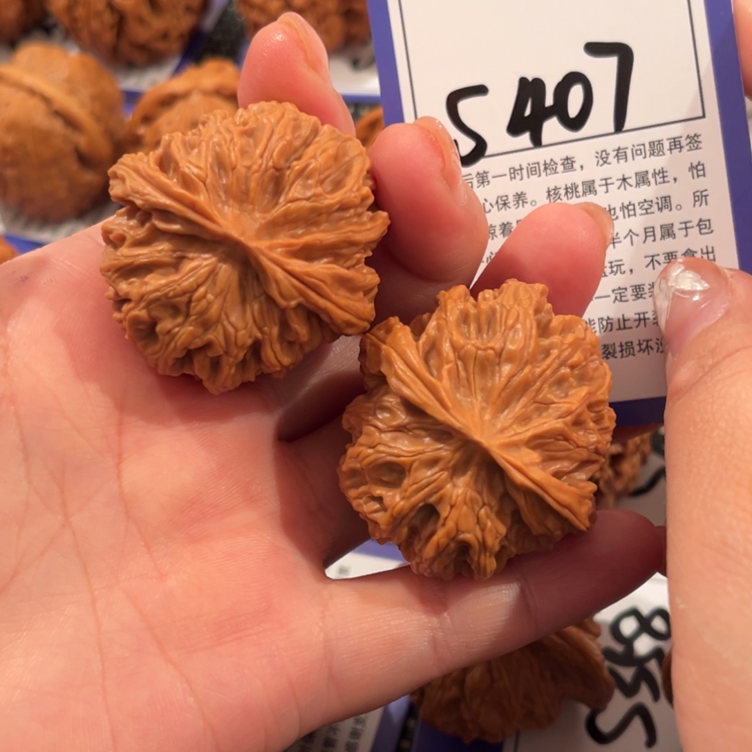 核桃S407号苹果园39尺
