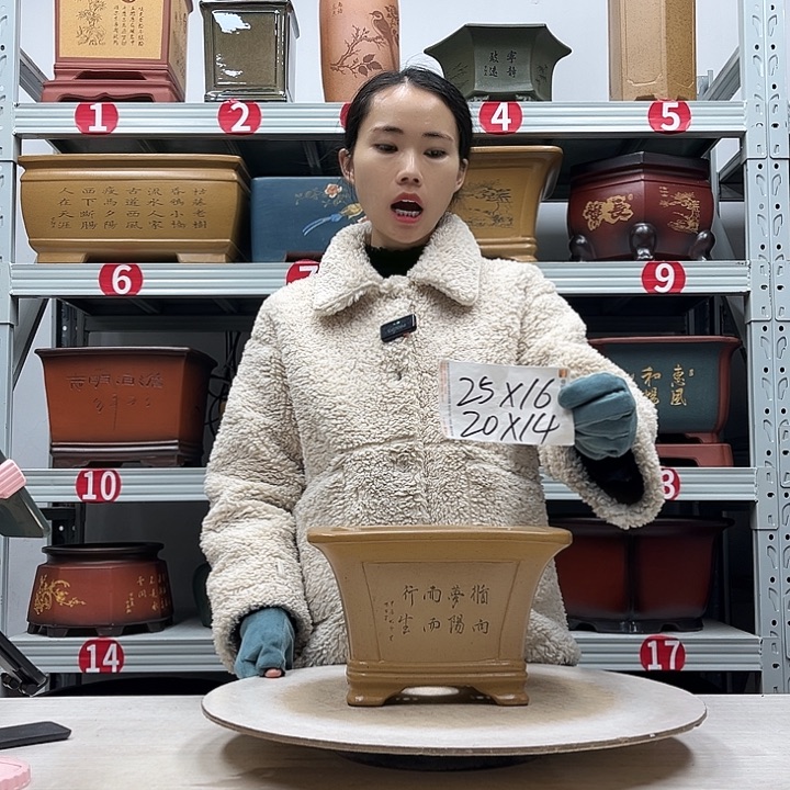 紫砂花盆紫砂花盆