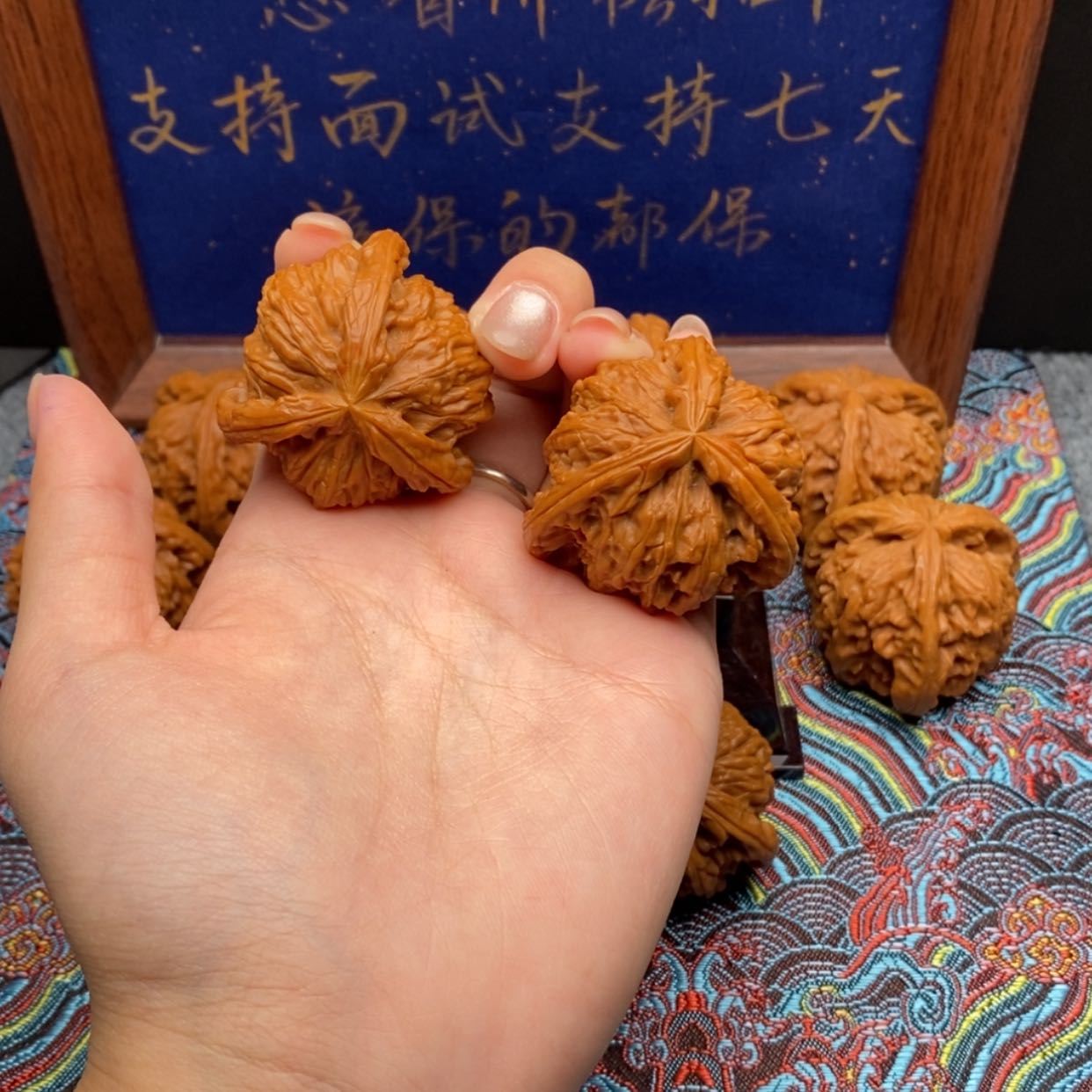 【闪购商品】小***?白狮